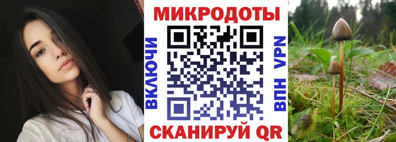 Галлюциногенные грибы MAGIC MUSHROOMS дарнет шоп Аткарск